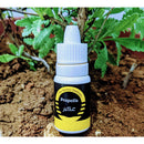 Propolis 10ml