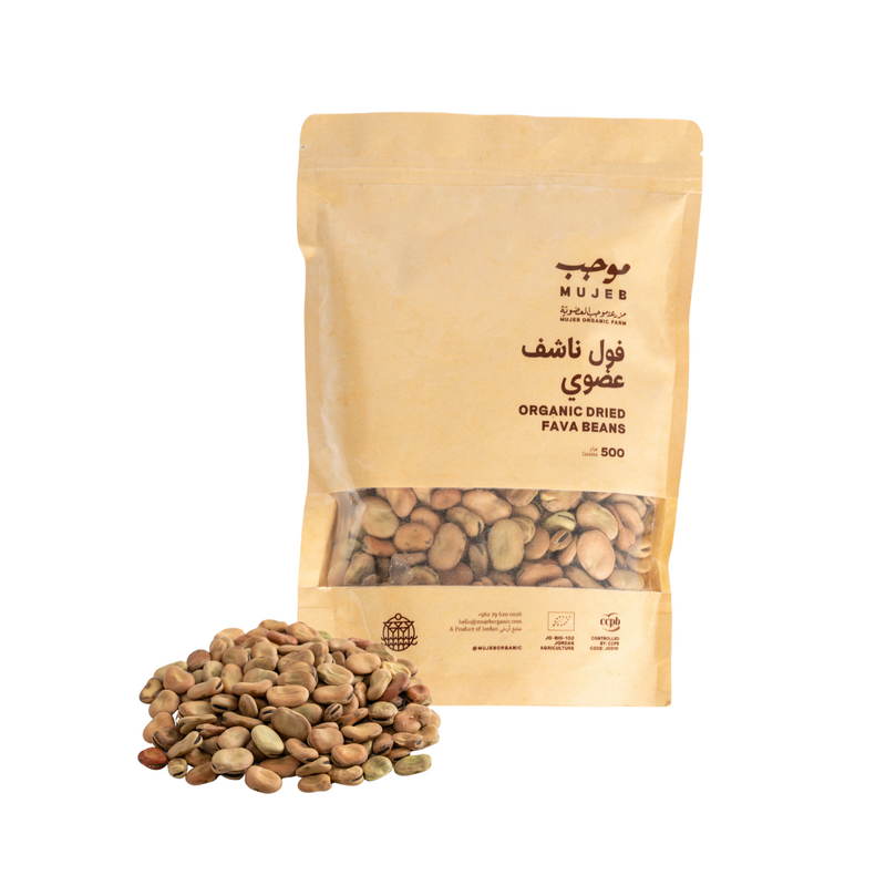 Mujeb Dried Fava Beans 500g